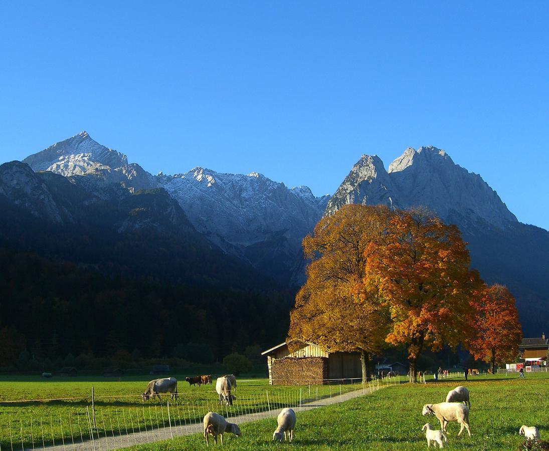 Am Kurpark -wohnung 2,90qm- * Garmisch-Partenkirchen